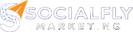 SocialFly Marketing
